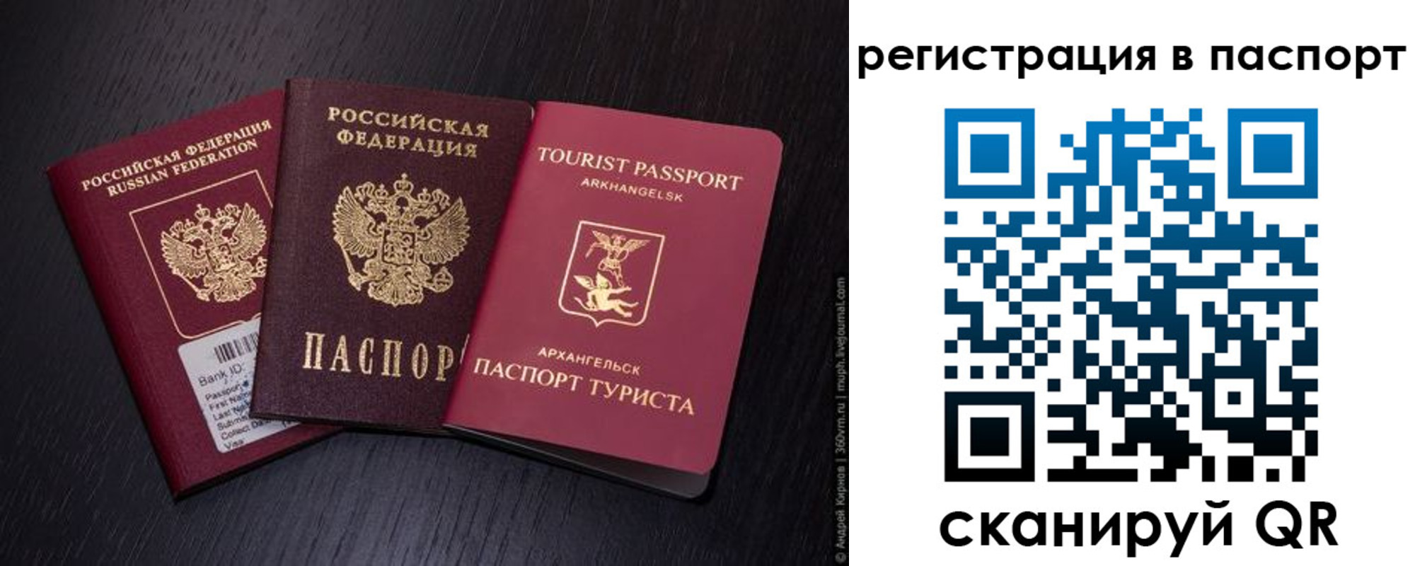 прописка в квартире в Камешково